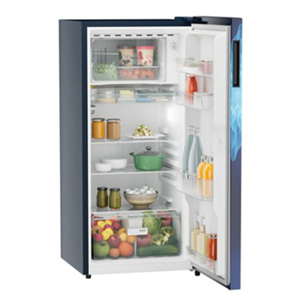 Liebherr 191 L 5 Star Single-door refrigerator with Inverter Compressor (DNPlmE 1911, Blue Mystiq)