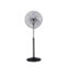 V-Guard FANZA MPF DELIGHT NEO Pedestal Fan (Steel Black)