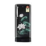LG 185 L 5 Star Single Door Refrigerator with Base Stand Drawer, Smart Inverter Compressor, Direct Cool (GLD1956ZAEL, Emerald Lotus)