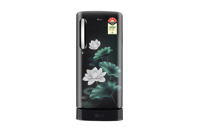 LG 185 L 5 Star Single Door Refrigerator with Base Stand Drawer, Smart Inverter Compressor, Direct Cool (GLD1956ZAEL, Emerald Lotus)