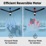 Luker Size Zero Crown Glow BLDC 32W Ceiling Fan with 3 Mode Underlight ( Black Copper Finish) - Image 3