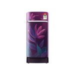 Samsung 189 L 5 Star Direct Cooling Single Door Refrigerator (RR21H2H259R, Paradise Bloom Purple)