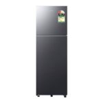 Samsung 256 L 2 Star Convertible Double Door Refrigerator (RT40H30U2K, Luxe Black)