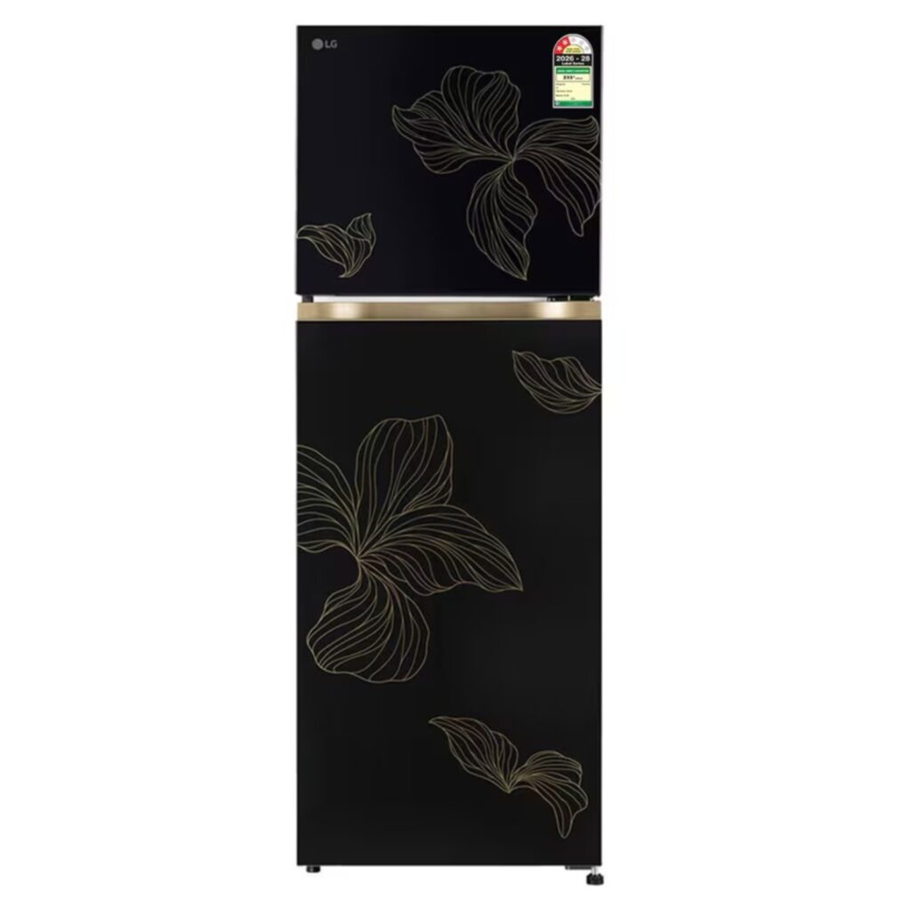 LG 251L 2 Star Frost Free Double Door Refrigerator with Smart Mode, Smart Inverter Compressor (GLT2526WWRO, Radiant Onyx)