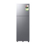 Samsung 256 L 2 Star Double Door Refrigerator with All Around Cooling (RT40H30W2P, Elegant Inox)